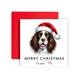 Huxters Christmas Card from the Dog – Brown Springer Spaniel - Merry Christmas to Dog Mum and Dog Dad – Christmas Card to Friends Family First Christmas (Brown White Springer Spaniel)