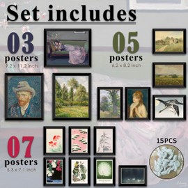 LANCHI95 15 Pcs Eclectic Wall Decor Framed, Maximalist Gallery Wall, Colorful Eclectic Decor, Colorful Art, Girls Room, Vintage Wall Art Prints, Moody Maximalist Bedroom Decorations (FRAMED)