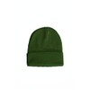 East Eagle Beanie hat, light green