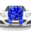 Mata1 Big Car Bow (Blue, 23 inch) Giant Gift Bows,