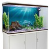 AWERT 36x18 inches Undersea Theme Aquarium Background Sunshine Underwater World