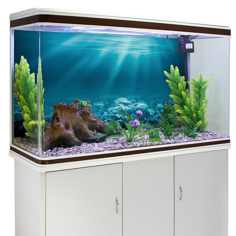 AWERT 36x18 inches Undersea Theme Aquarium Background Sunshine Underwater World