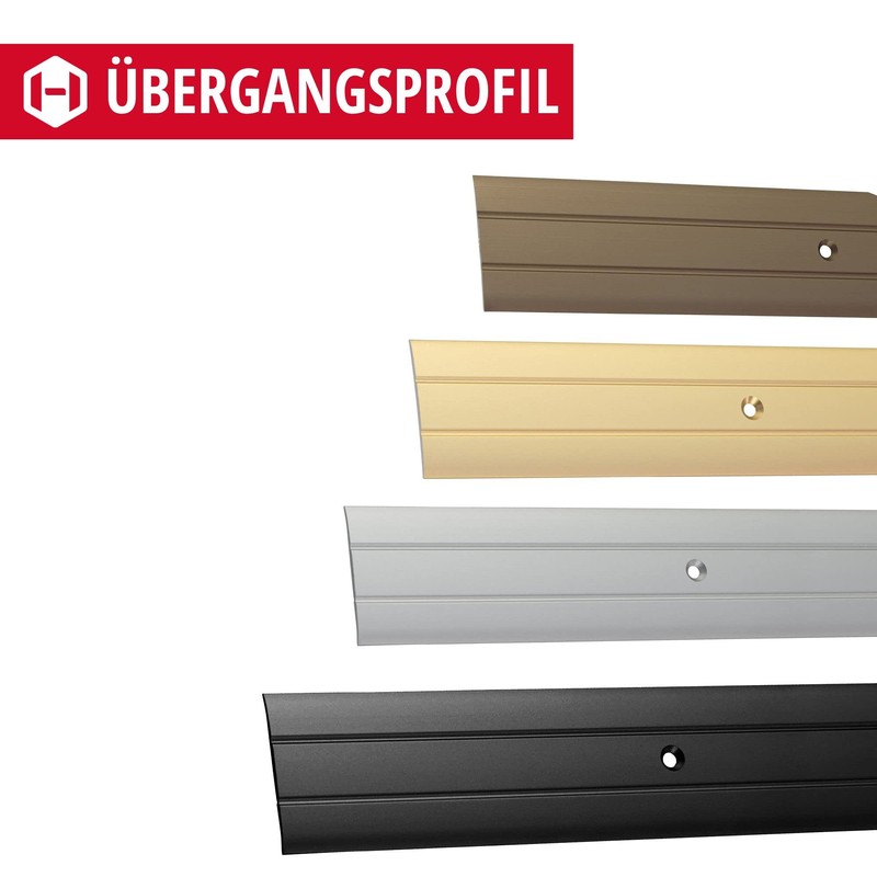Gedotec Transition Profile for Screwing Aluminium Black 200 cm Length