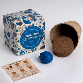 Resetea Growing Set Happy Birthday, Levkojen, St. John's Wort and Woundwort