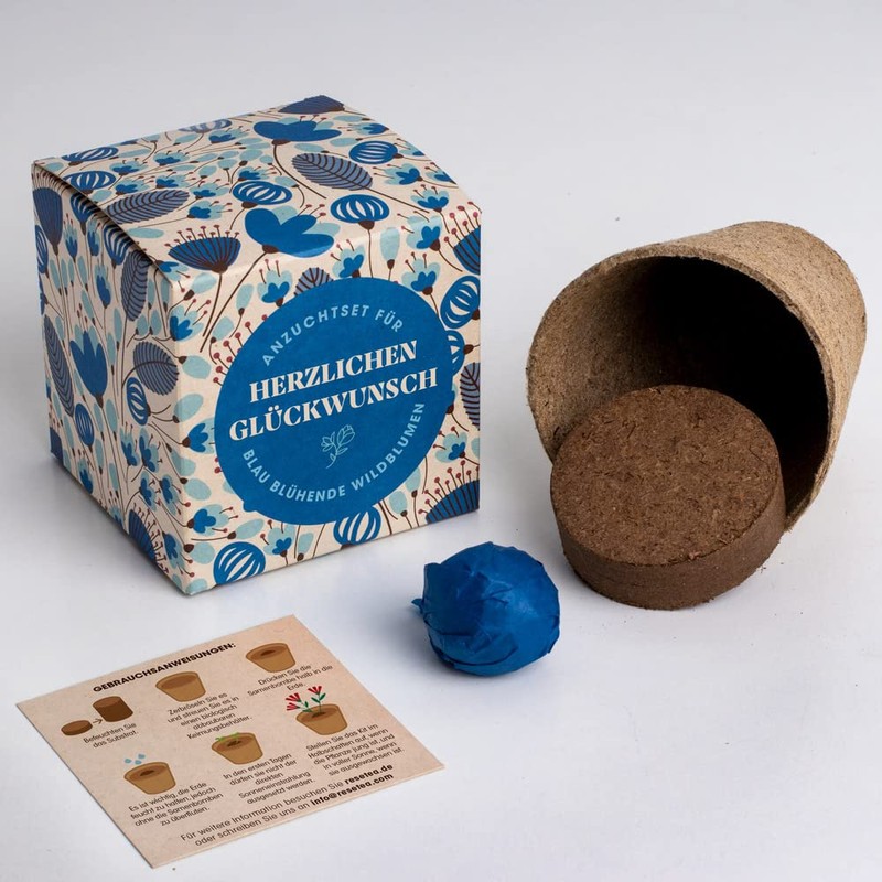 Resetea Growing Set Happy Birthday, Levkojen, St. John's Wort and