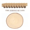 10 PCS 8-9 Inch Large Wood Slices for Centerpieces, with