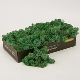 prefleur prefleur Preserved Reindeer Craft Moss Natural Green DIY Kit Gardenning Art Wall Decor Florist Easter Table Decor Wedding Decor (0.85lb)(Green-10)