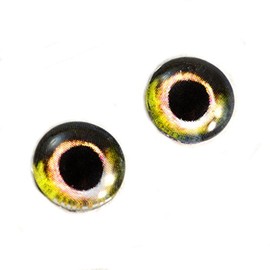 10mm Yellow and Orange Fish Glass Eyes Fantasy Cabochons for Art Doll Taxidermy Sculptures or Jewelry Making Set of 2