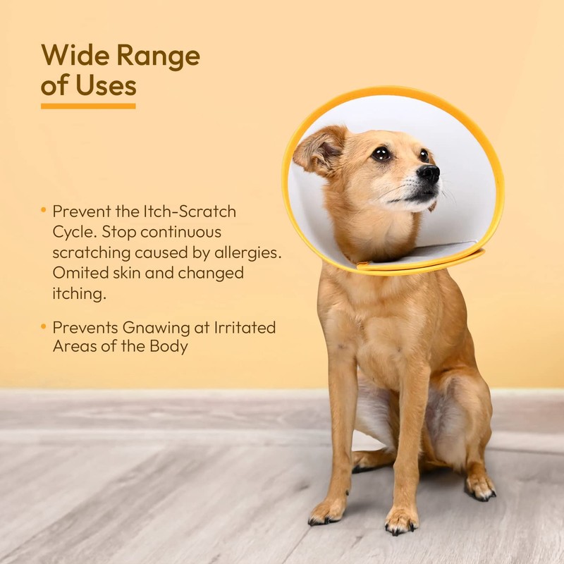 Animal Ortho Care Pet Cone E-Collar | Dog Cone, Recovery