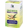 INGWER 500 mg Kapseln+Vitamin B1+C 90 St
