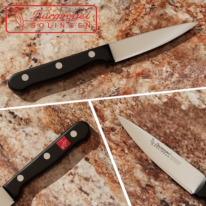 Burgvogel Solingen, Serie 4000, Coltello per lardellare, 10 cm, inossidabile,