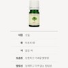 Partner company Skinbolic Tea Tree Essential Oil 5ml / 스킨볼릭