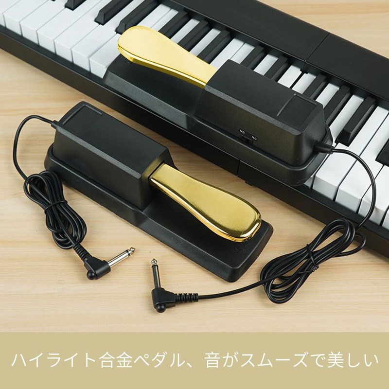 Damper Pedal, Sustain Pedal, Key, Foot Pedal, Electronic Organ Electric