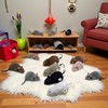 WLSuDHoncc Furry Mice Cat Toy Wind Up Realistic Mouse Toys
