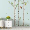 decalmile Large Birch Tree Wall Decals White Tree Forest Birds