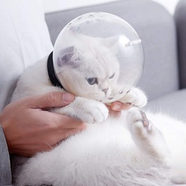 TEHAUX Bozal para Gato, Casco de Gato para Aseo Casco De Gato Bozal De Burbuja De Gato Transparente Cubierta De Cabeza De Gato Redonda De Plástico Burbuja De Cabeza De Gato Ajustable con Agujeros
