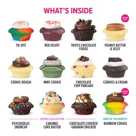Baked by Melissa Cupcakes - Thinking of You Gift Box - Latest & Greatest Cupcakes - Assorted Bite-Size Cupcakes, Includes 12 Different Flavors - Sympathy Gift Box (25 Count)