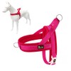 Plutus Pet No Pull Dog Harness with Breathable Mesh Padded,