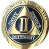 2 Year AA Medallion Elegant Black Gold Silver Plated Bi-Plate