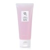 Joseon Beauty Red Bean Moisture Water Gel 100ml Moisturizing Trouble