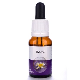 Living Essences Illyarrie 15ml