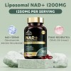 Suplemento Nad+ Resveratrol 100 Softgels