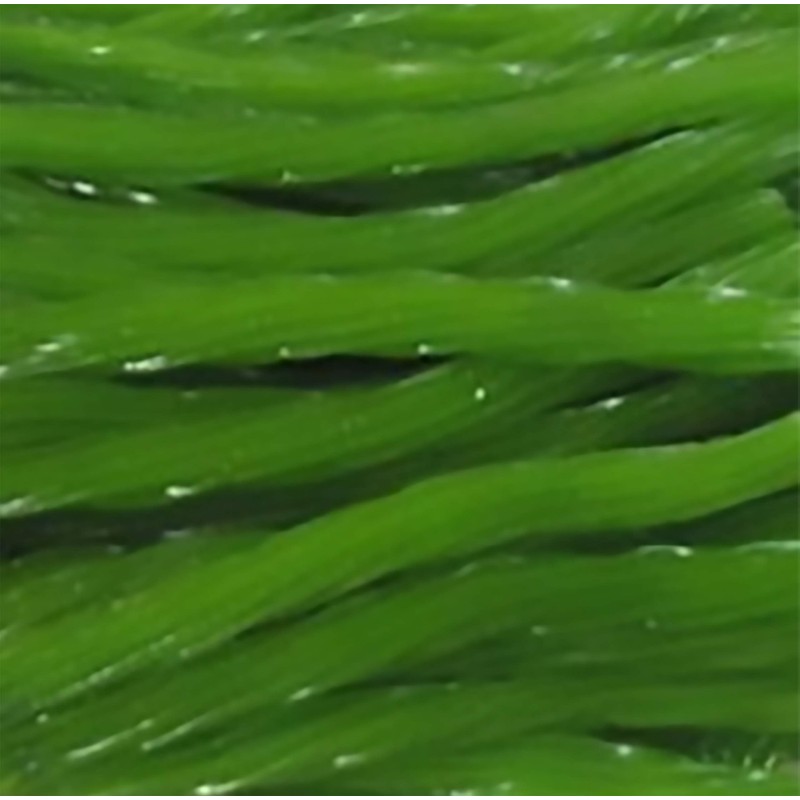 Arndts Fudgery Amish Licorice Twists - Three 16 Oz Pkgs.