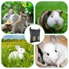 Rabbit Hay Feeder, Large Capacity Guinea Pig Hay Feeder, 2
