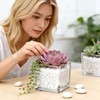 6 Pack Square Glass Vase 4" x 4" x 4",