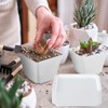 100 Pieces 4 Inch Flower Pots Square Plants Nursery Pot