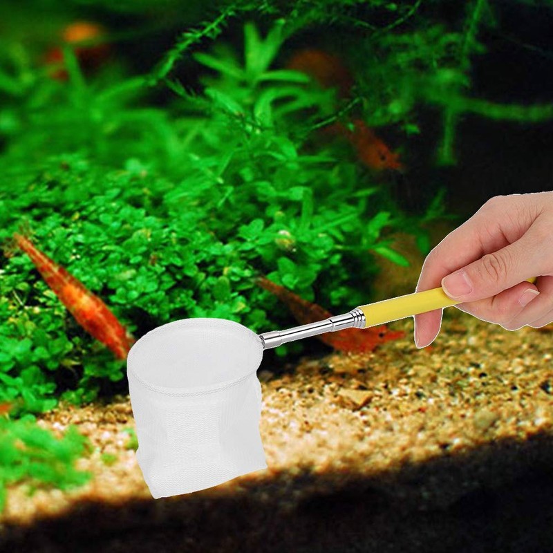 Small Aquarium Fish Net, Telescopic Pole Fish Shrimp Catch Skimming