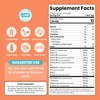 Venture Pal Liver Support Electrolyte Powder, Milk Thistle + Ginger