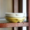Hasami ware Fashion Baking Dishes with Lid (Cookware Function Plate)