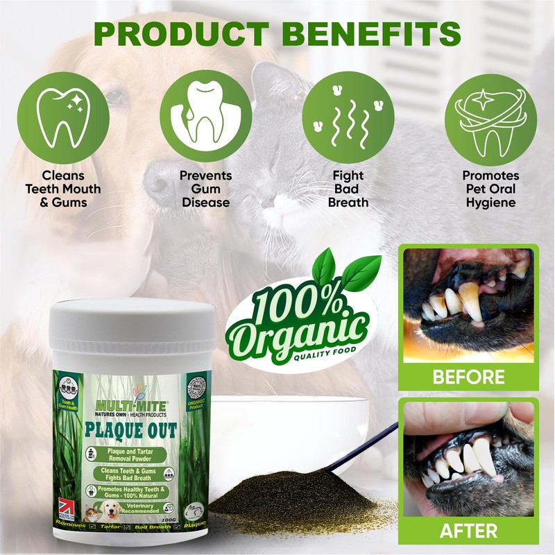 PLAQUE OUT 100G Pot Tartar Plaque Off Remover,100% Natural &
