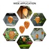 v2croft 6 Pack Wasp Nest Decoy, Hanging Fake Wasp Nest