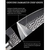 Jingseiho Professional Knife Set - VG-10 67-Layer Damascus Forged Steel,