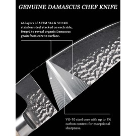 Jingseiho Professional Knife Set - VG-10 67-Layer Damascus Forged Steel, SGS Certified Razor-Sharp Edge Chef Santoku Paring Knifes, Durable Kitchen Cutlery for Home Cooks