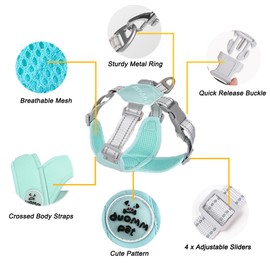 FEimaX Dog Harness Pet X Frame No Pull Step-in Harnesses with Leash Set, Adjustable Reflective Choke Free Puppy with Padded Vest for Small, Medium Dogs and Cats Walking Training