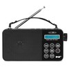 Reflexion TRA2350DAB Portable DAB+/FM Radio with Headphone Output, Carrying Strap