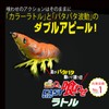 Duel EZ-Q Cast Squid Fishing Lure, Squid Fishing, Bait, Rattle,