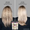 John Frieda Blonde+ Repair System, Pre-Shampoo Treatment | STEP 1 |