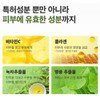 [Wide 5-Pack] Summer UV Protection Skin Cooling Sun Patch Golf