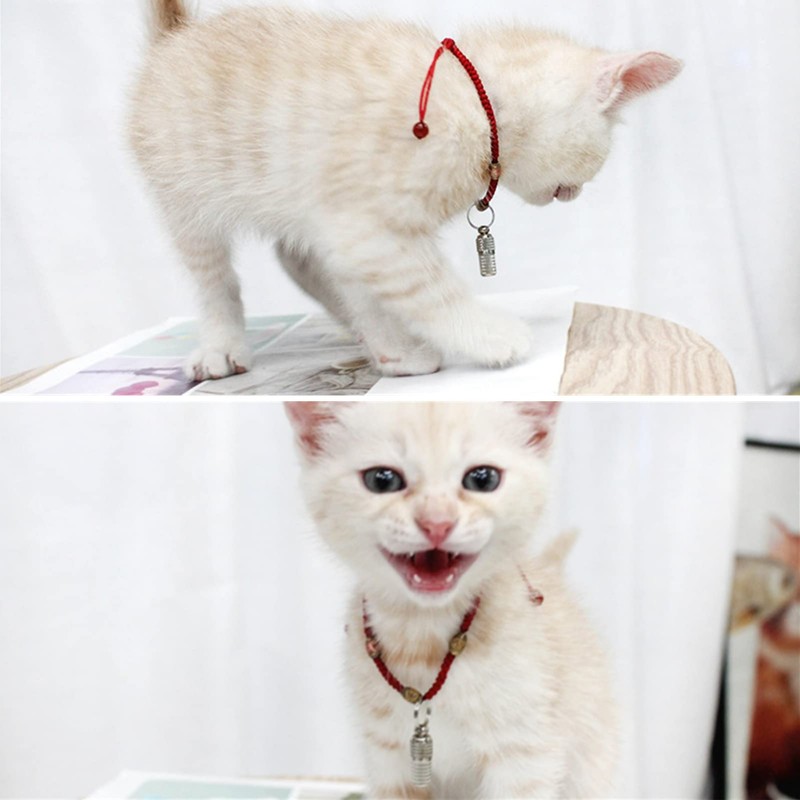 TUKNN Reflective Cat Collar with Bell, Quick Release, Safe, Anti-Lost