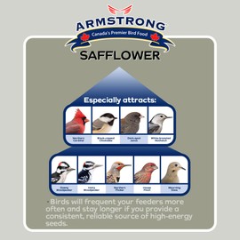 Armstrong Wild Bird Food Safflower Bird Seed, 20 Pounds - for Northern Cardinals, Rose-Breasted Grosbeaks and Black-Capped Chickadees - Ideal for Outside Feeders