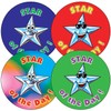 175 Smiley Star Of The Day School Praise Teachers Reward
