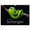 Faszination Schlangen (Wandkalender 2026 DIN A3 quer), CALVENDO Monatskalender: Entdecke