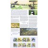 2017 Songbirds stamps in a Presentation Pack PP512 (printed no.