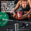 BSN Amino X, Sabor Ponche de Frutas, 435 gr