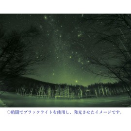 500ピース ジグソーパズル KAGAYA 美瑛に降る星のダイヤモンド(北海道) 【光るパズル】 (38x53cm)