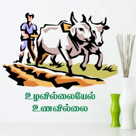 StickMe Farmer Tamil Quote Agriculture Motivation Wall Sticker (115 x 100 cm, Multicolour, Vinyl)